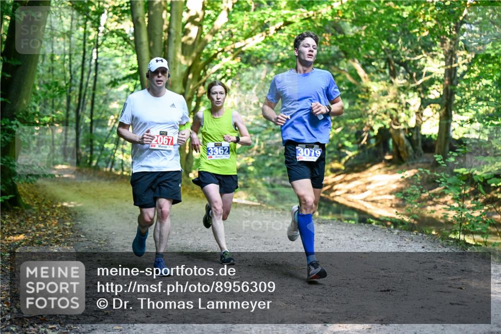 28.09.2025 - 33. Volkslauf durch das schöne Alstertal Dr. Thomas Lammeyer http://msf.ph/oto/8956309 28.09.2025 10:44:22 Laufen 2067, 3362, 3079 meine-sportfotos.de