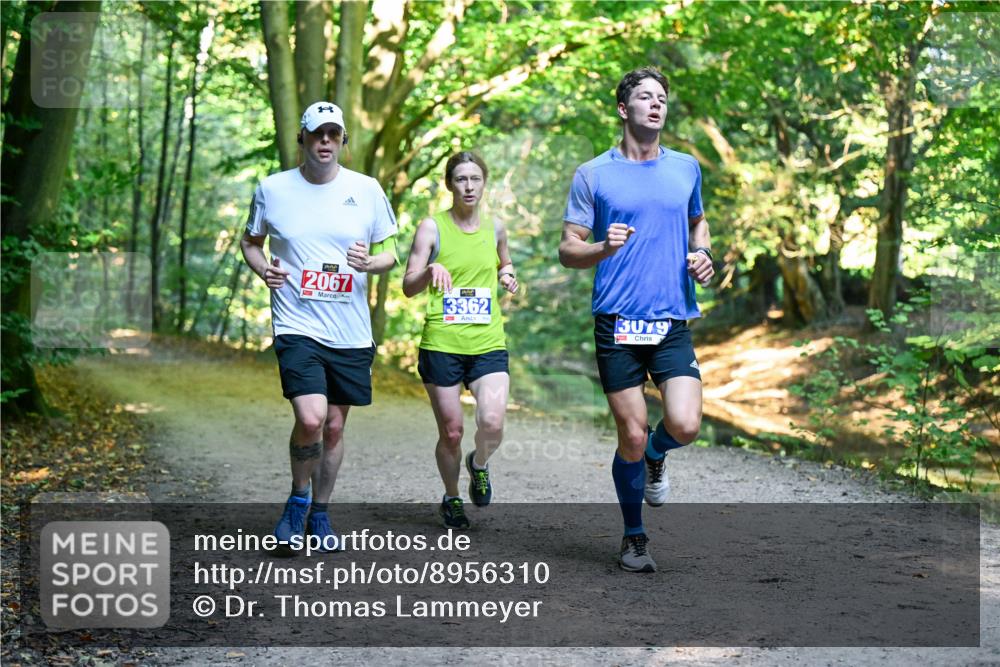 28.09.2025 - 33. Volkslauf durch das schöne Alstertal Dr. Thomas Lammeyer http://msf.ph/oto/8956310 28.09.2025 10:44:22 Laufen 410, 2067, 3079, 3362 meine-sportfotos.de