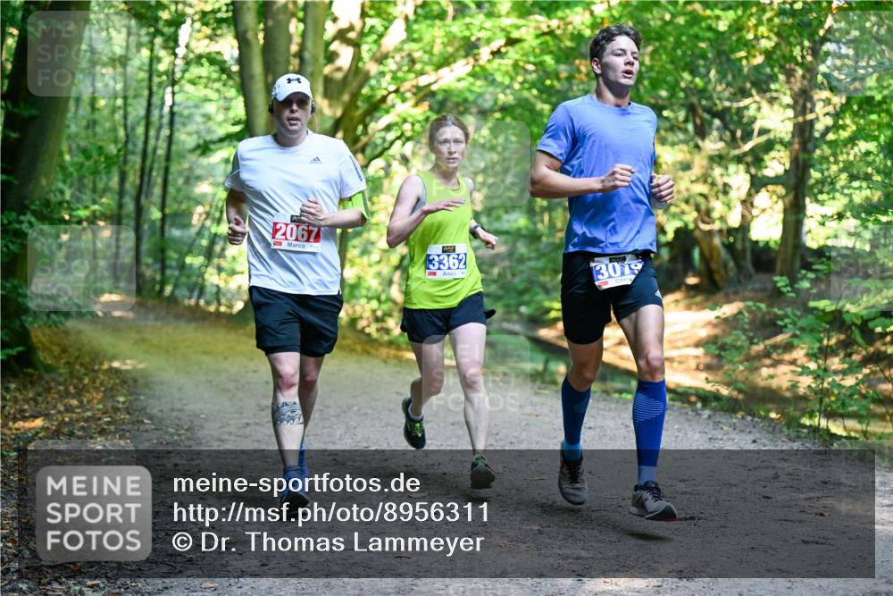 28.09.2025 - 33. Volkslauf durch das schöne Alstertal Dr. Thomas Lammeyer http://msf.ph/oto/8956311 28.09.2025 10:44:22 Laufen 2067, 3362, 3079 meine-sportfotos.de