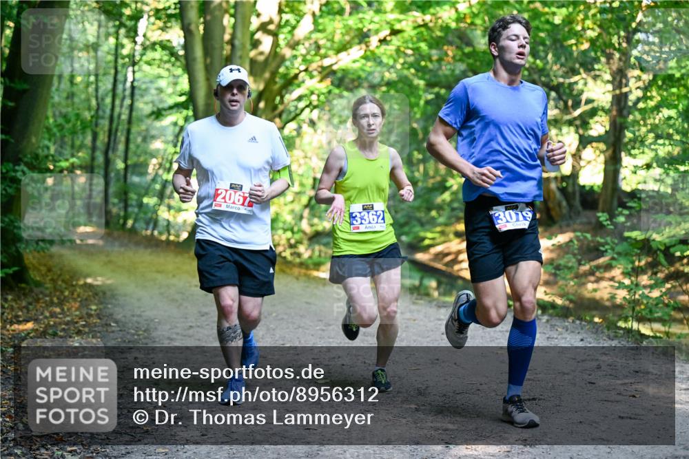 28.09.2025 - 33. Volkslauf durch das schöne Alstertal Dr. Thomas Lammeyer http://msf.ph/oto/8956312 28.09.2025 10:44:22 Laufen 2067, 3362, 3079 meine-sportfotos.de