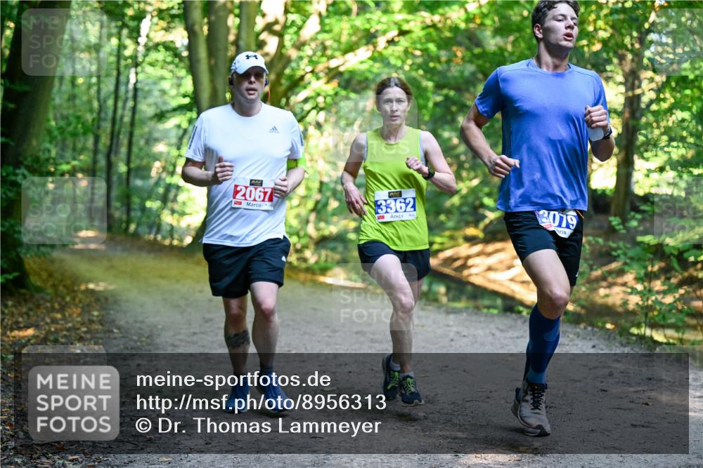 28.09.2025 - 33. Volkslauf durch das schöne Alstertal Dr. Thomas Lammeyer http://msf.ph/oto/8956313 28.09.2025 10:44:22 Laufen 2067, 3362, 3079 meine-sportfotos.de