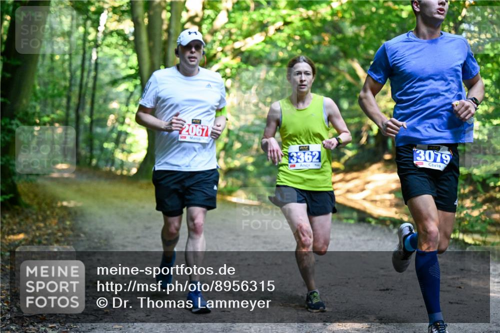 28.09.2025 - 33. Volkslauf durch das schöne Alstertal Dr. Thomas Lammeyer http://msf.ph/oto/8956315 28.09.2025 10:44:22 Laufen 2067, 3362, 3079 meine-sportfotos.de