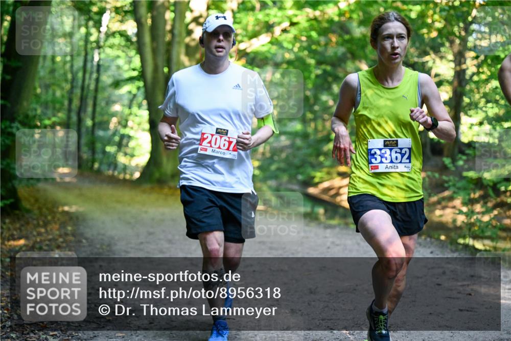 28.09.2025 - 33. Volkslauf durch das schöne Alstertal Dr. Thomas Lammeyer http://msf.ph/oto/8956318 28.09.2025 10:44:23 Laufen 2067, 3362 meine-sportfotos.de