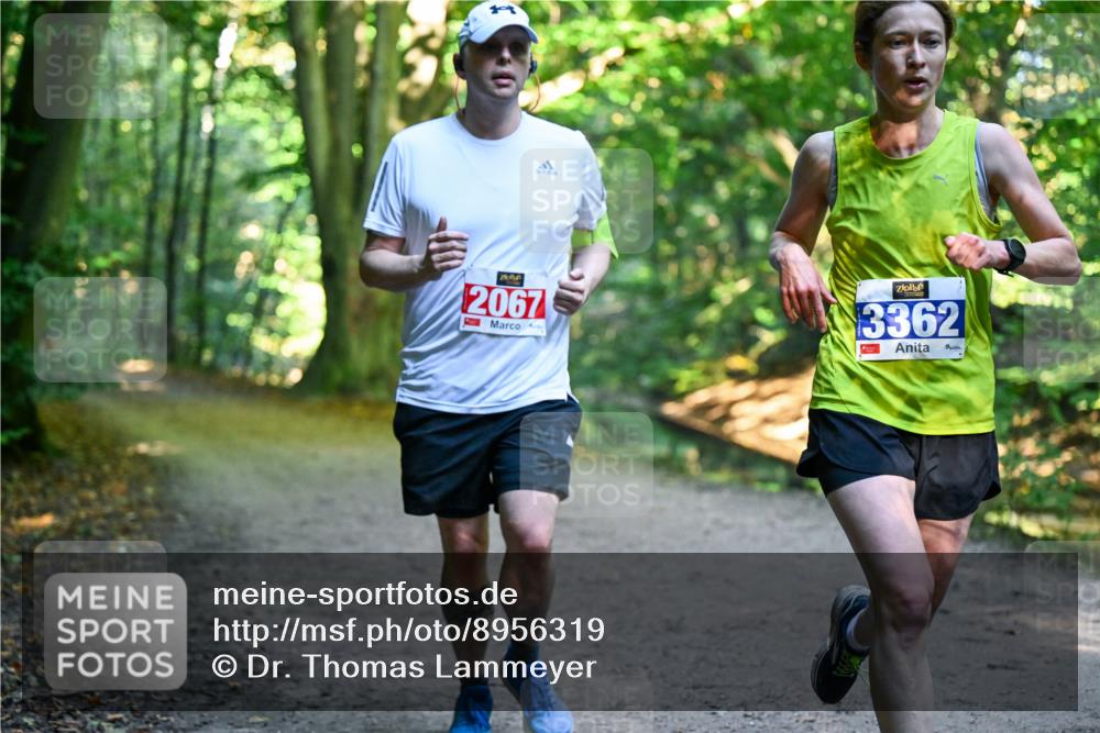 28.09.2025 - 33. Volkslauf durch das schöne Alstertal Dr. Thomas Lammeyer http://msf.ph/oto/8956319 28.09.2025 10:44:23 Laufen 2067, 3362 meine-sportfotos.de