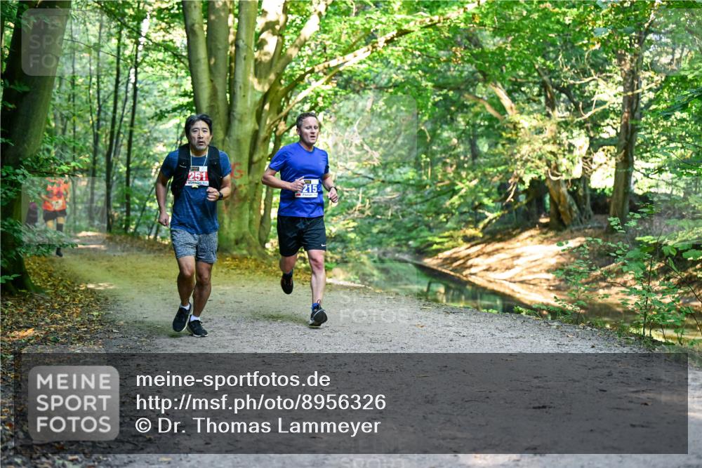 28.09.2025 - 33. Volkslauf durch das schöne Alstertal Dr. Thomas Lammeyer http://msf.ph/oto/8956326 28.09.2025 10:44:32 Laufen 251, 215 meine-sportfotos.de