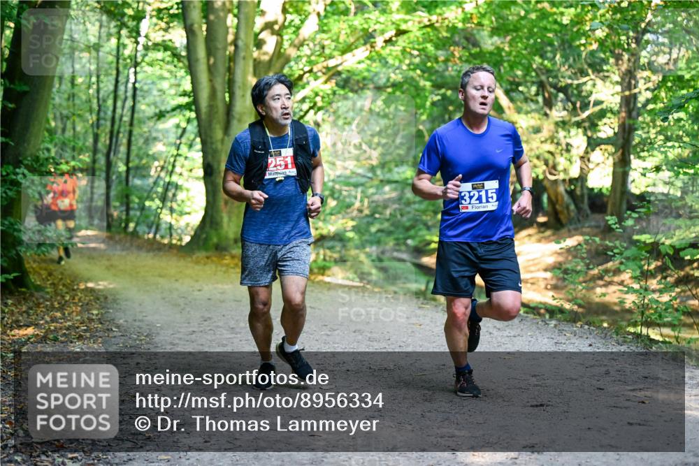28.09.2025 - 33. Volkslauf durch das schöne Alstertal Dr. Thomas Lammeyer http://msf.ph/oto/8956334 28.09.2025 10:44:33 Laufen 251, 3215 meine-sportfotos.de