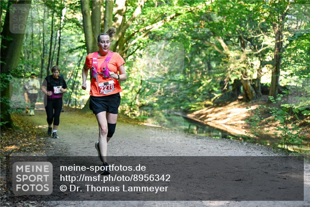 28.09.2025 - 33. Volkslauf durch das schöne Alstertal Dr. Thomas Lammeyer http://msf.ph/oto/8956342 28.09.2025 10:44:40 Laufen 2278, 3 meine-sportfotos.de
