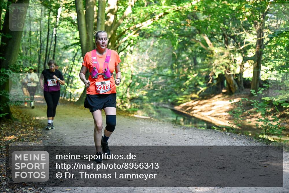 28.09.2025 - 33. Volkslauf durch das schöne Alstertal Dr. Thomas Lammeyer http://msf.ph/oto/8956343 28.09.2025 10:44:40 Laufen 2278 meine-sportfotos.de