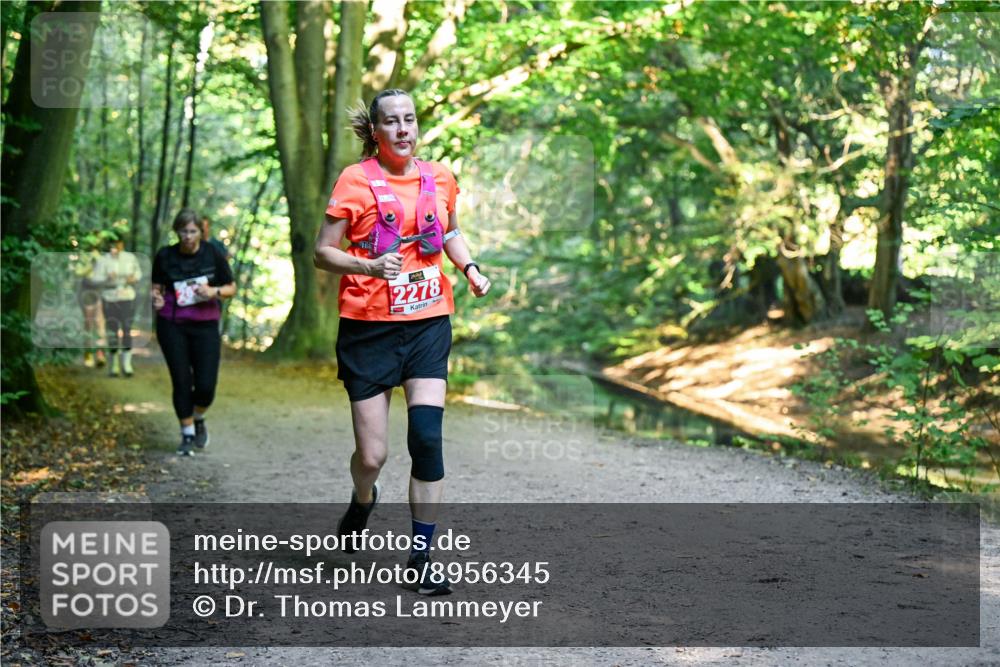 28.09.2025 - 33. Volkslauf durch das schöne Alstertal Dr. Thomas Lammeyer http://msf.ph/oto/8956345 28.09.2025 10:44:40 Laufen 2278 meine-sportfotos.de