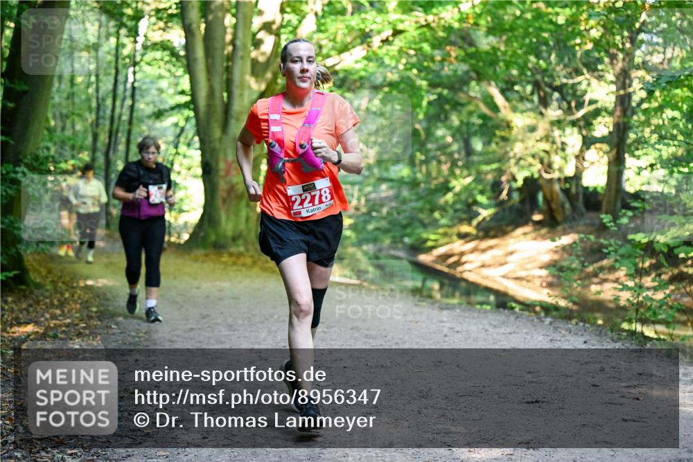 28.09.2025 - 33. Volkslauf durch das schöne Alstertal Dr. Thomas Lammeyer http://msf.ph/oto/8956347 28.09.2025 10:44:40 Laufen 2278 meine-sportfotos.de