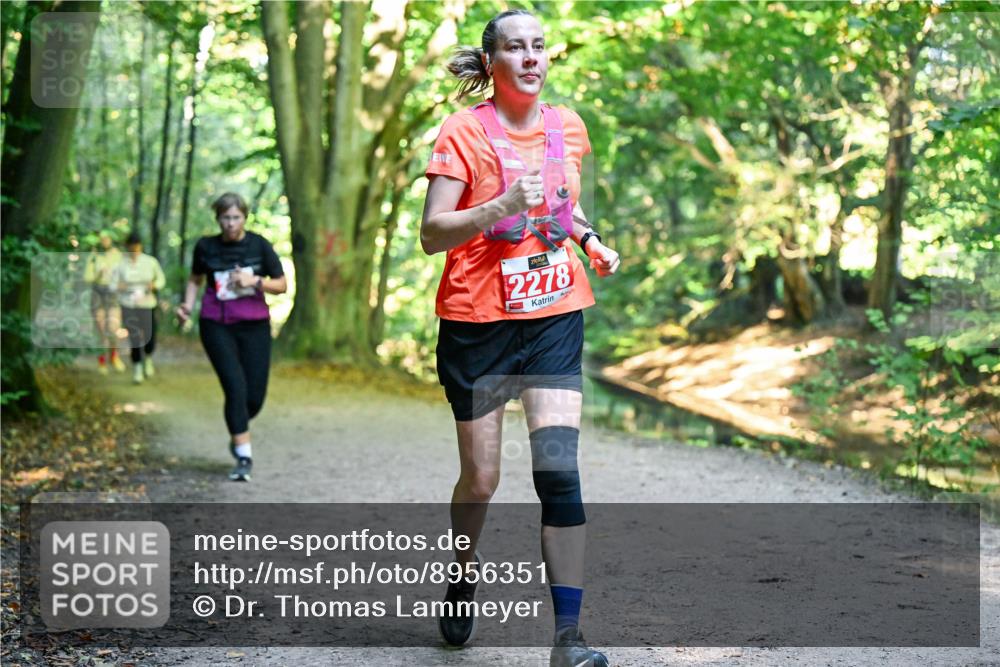 28.09.2025 - 33. Volkslauf durch das schöne Alstertal Dr. Thomas Lammeyer http://msf.ph/oto/8956351 28.09.2025 10:44:41 Laufen 2278 meine-sportfotos.de