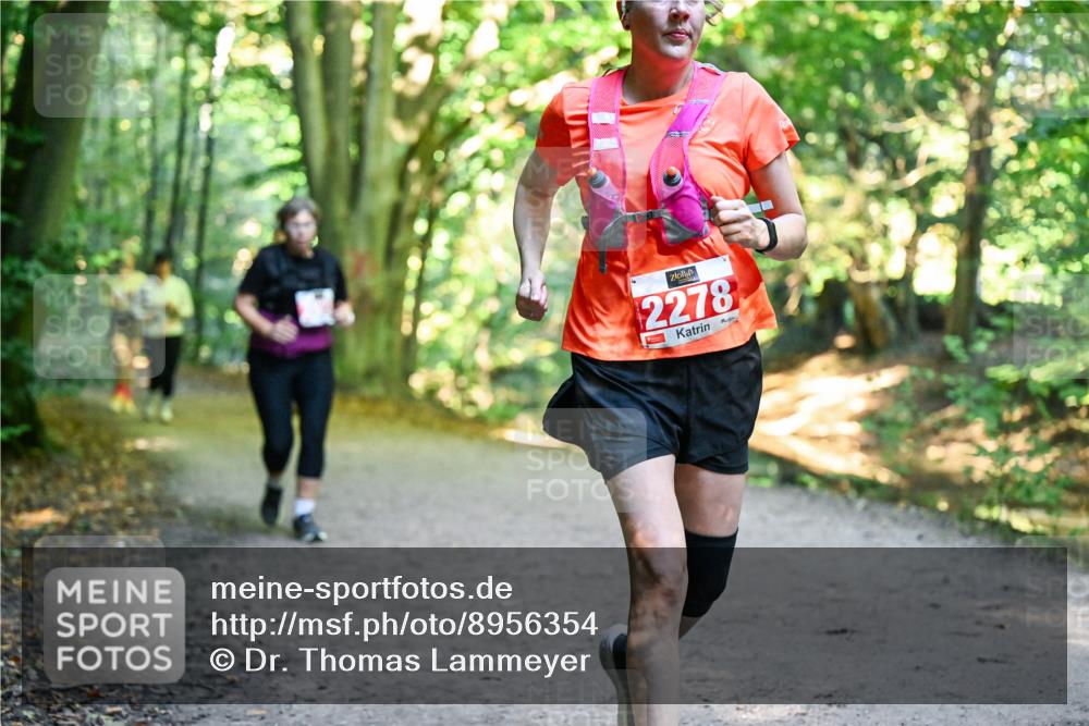 28.09.2025 - 33. Volkslauf durch das schöne Alstertal Dr. Thomas Lammeyer http://msf.ph/oto/8956354 28.09.2025 10:44:41 Laufen 2278 meine-sportfotos.de