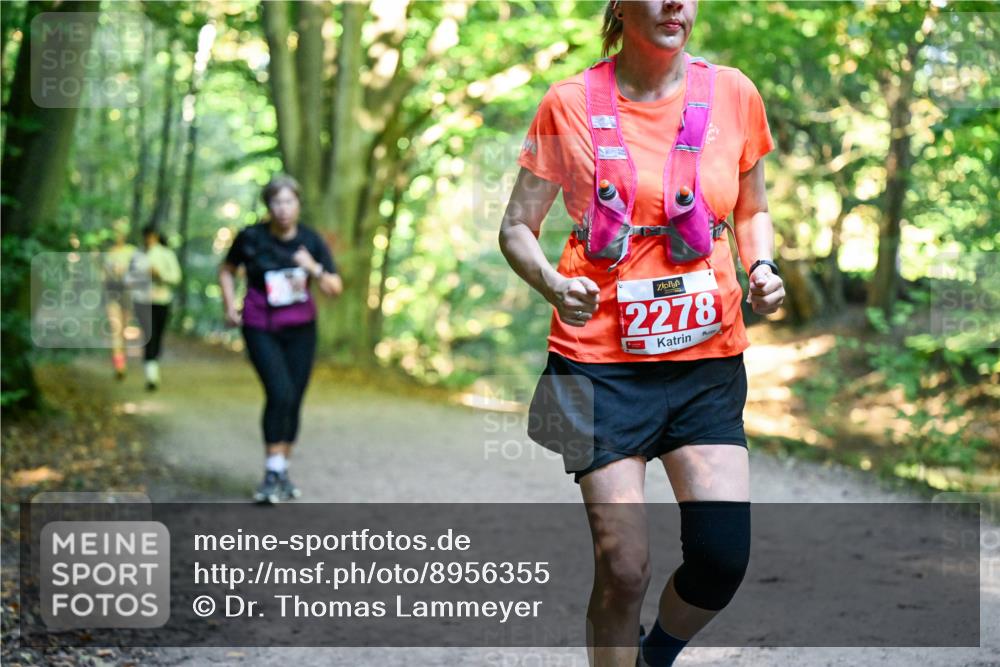 28.09.2025 - 33. Volkslauf durch das schöne Alstertal Dr. Thomas Lammeyer http://msf.ph/oto/8956355 28.09.2025 10:44:41 Laufen 2278 meine-sportfotos.de