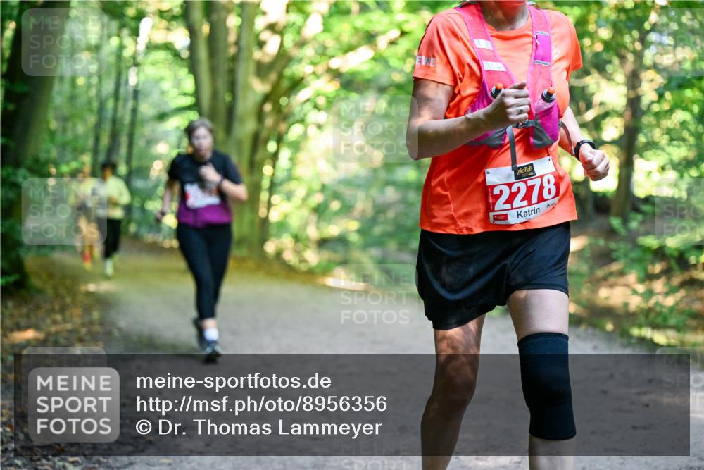 28.09.2025 - 33. Volkslauf durch das schöne Alstertal Dr. Thomas Lammeyer http://msf.ph/oto/8956356 28.09.2025 10:44:41 Laufen 2278 meine-sportfotos.de