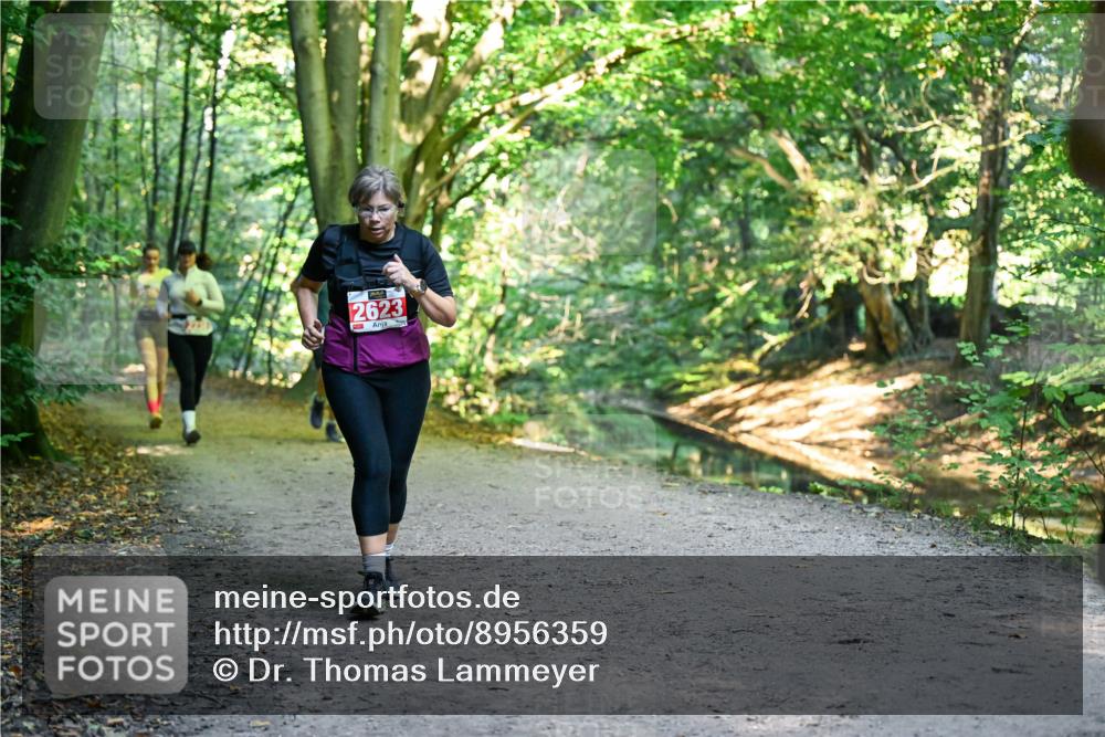 28.09.2025 - 33. Volkslauf durch das schöne Alstertal Dr. Thomas Lammeyer http://msf.ph/oto/8956359 28.09.2025 10:44:42 Laufen 2623 meine-sportfotos.de