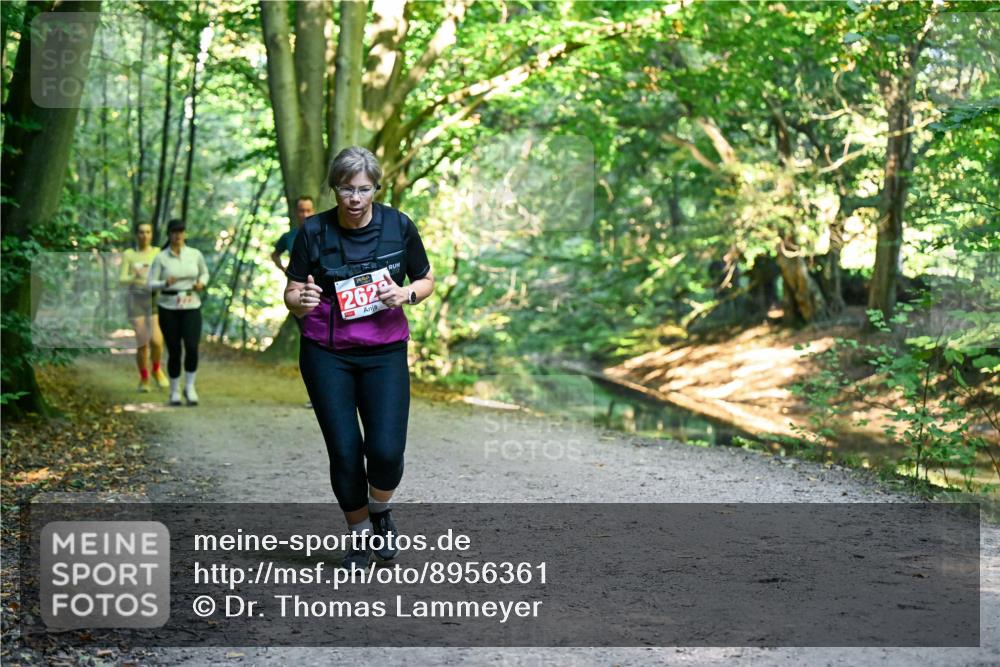 28.09.2025 - 33. Volkslauf durch das schöne Alstertal Dr. Thomas Lammeyer http://msf.ph/oto/8956361 28.09.2025 10:44:42 Laufen 262 meine-sportfotos.de