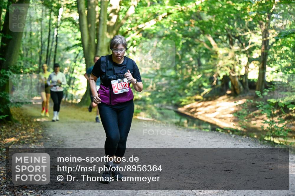 28.09.2025 - 33. Volkslauf durch das schöne Alstertal Dr. Thomas Lammeyer http://msf.ph/oto/8956364 28.09.2025 10:44:43 Laufen 2623 meine-sportfotos.de