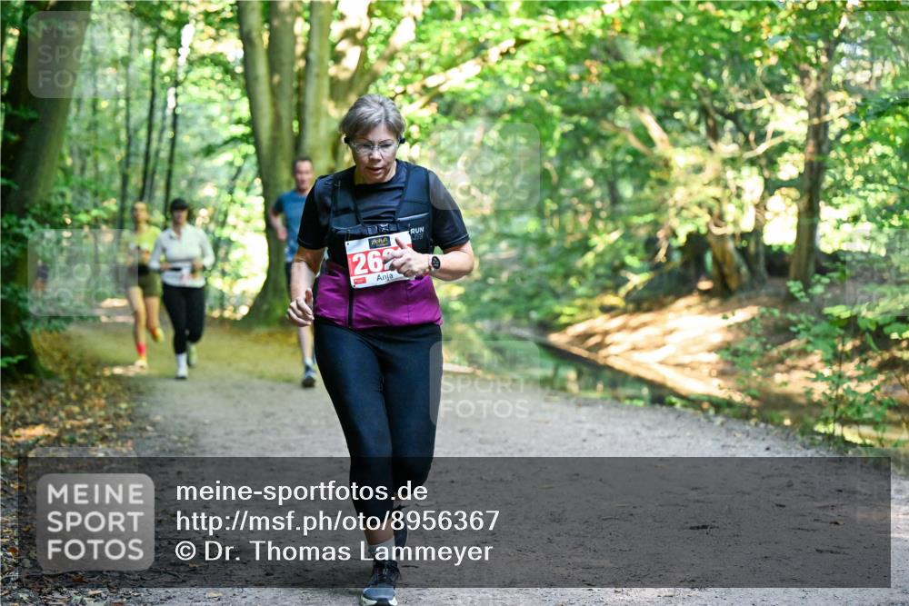 28.09.2025 - 33. Volkslauf durch das schöne Alstertal Dr. Thomas Lammeyer http://msf.ph/oto/8956367 28.09.2025 10:44:43 Laufen 262 meine-sportfotos.de