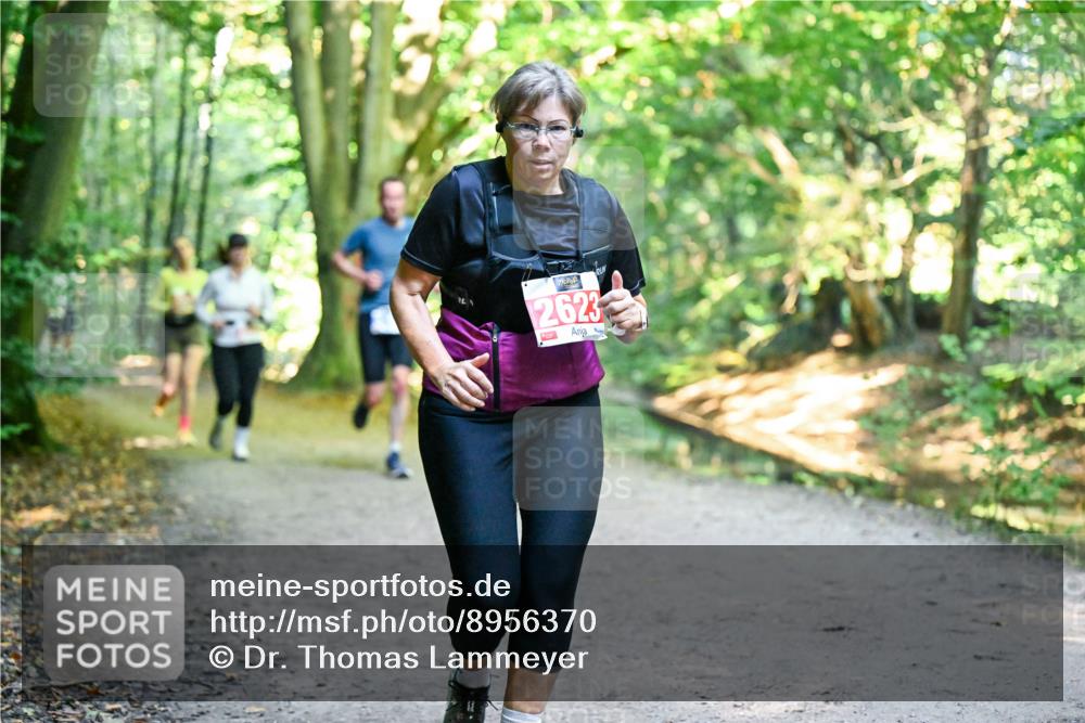 28.09.2025 - 33. Volkslauf durch das schöne Alstertal Dr. Thomas Lammeyer http://msf.ph/oto/8956370 28.09.2025 10:44:43 Laufen 2623 meine-sportfotos.de