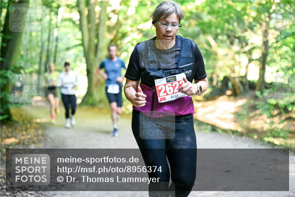 28.09.2025 - 33. Volkslauf durch das schöne Alstertal Dr. Thomas Lammeyer http://msf.ph/oto/8956374 28.09.2025 10:44:44 Laufen 2622 meine-sportfotos.de