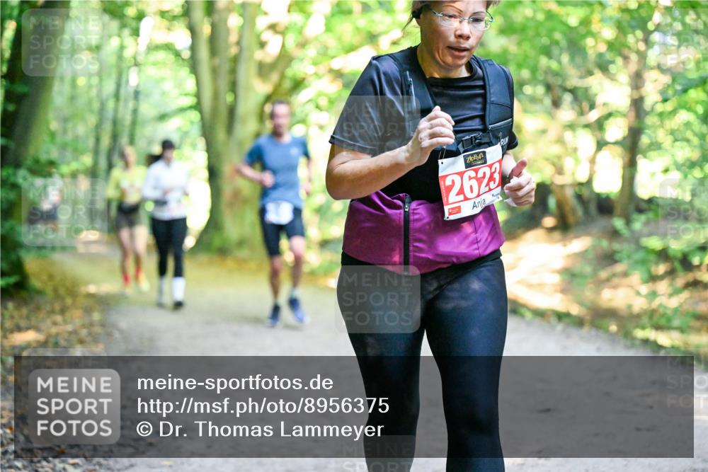 28.09.2025 - 33. Volkslauf durch das schöne Alstertal Dr. Thomas Lammeyer http://msf.ph/oto/8956375 28.09.2025 10:44:44 Laufen 2623 meine-sportfotos.de