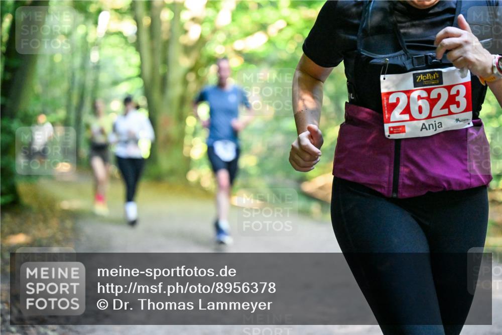 28.09.2025 - 33. Volkslauf durch das schöne Alstertal Dr. Thomas Lammeyer http://msf.ph/oto/8956378 28.09.2025 10:44:44 Laufen 2623 meine-sportfotos.de