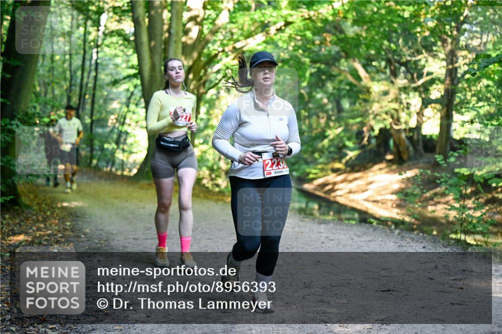 28.09.2025 - 33. Volkslauf durch das schöne Alstertal Dr. Thomas Lammeyer http://msf.ph/oto/8956393 28.09.2025 10:44:47 Laufen 2238 meine-sportfotos.de