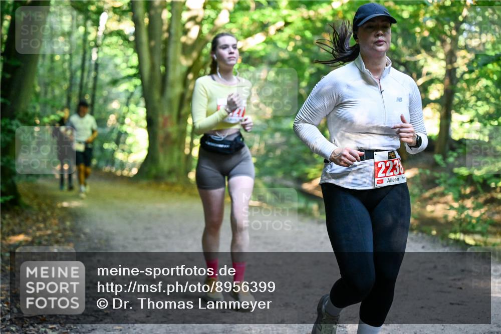 28.09.2025 - 33. Volkslauf durch das schöne Alstertal Dr. Thomas Lammeyer http://msf.ph/oto/8956399 28.09.2025 10:44:48 Laufen 223 meine-sportfotos.de