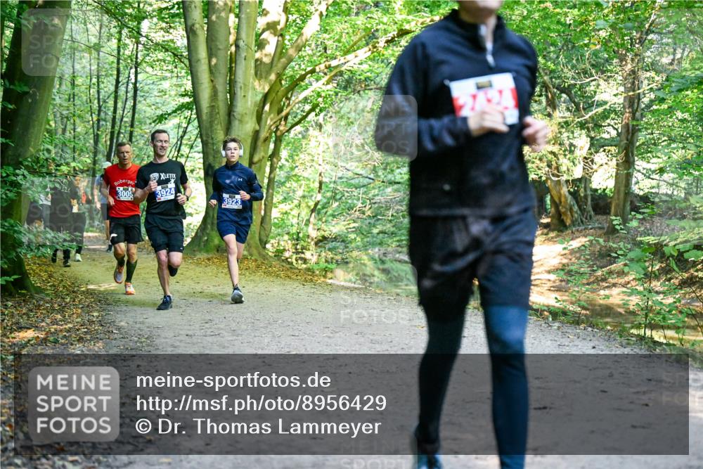 28.09.2025 - 33. Volkslauf durch das schöne Alstertal Dr. Thomas Lammeyer http://msf.ph/oto/8956429 28.09.2025 10:44:55 Laufen 3005, 3924, 3923 meine-sportfotos.de