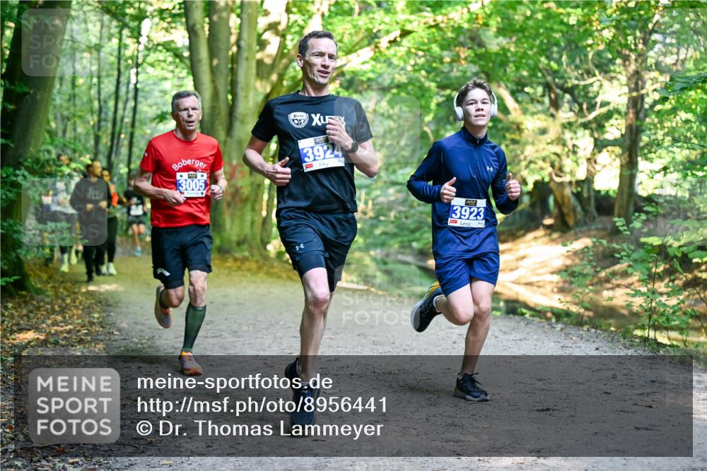 28.09.2025 - 33. Volkslauf durch das schöne Alstertal Dr. Thomas Lammeyer http://msf.ph/oto/8956441 28.09.2025 10:44:57 Laufen 3005, 3924, 3923 meine-sportfotos.de