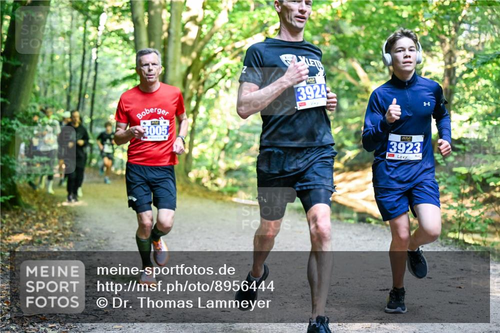 28.09.2025 - 33. Volkslauf durch das schöne Alstertal Dr. Thomas Lammeyer http://msf.ph/oto/8956444 28.09.2025 10:44:58 Laufen 3005, 3924, 3923 meine-sportfotos.de