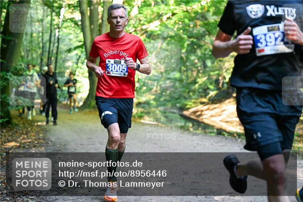 28.09.2025 - 33. Volkslauf durch das schöne Alstertal Dr. Thomas Lammeyer http://msf.ph/oto/8956446 28.09.2025 10:44:58 Laufen 3005, 392 meine-sportfotos.de