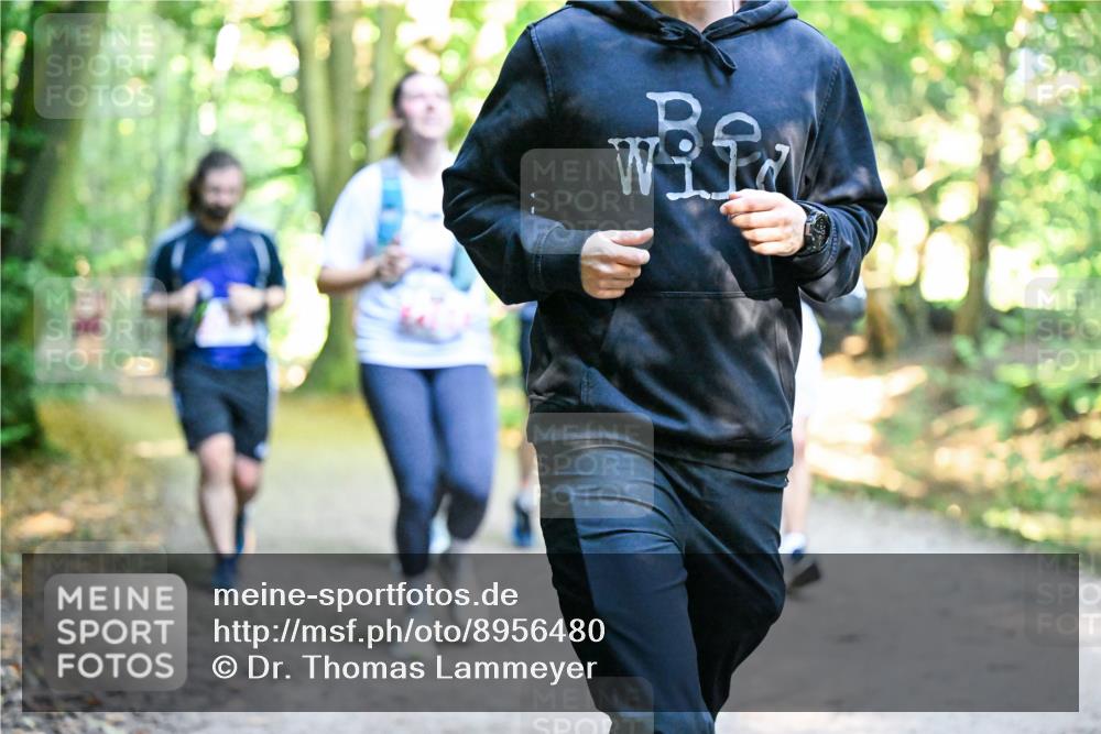 28.09.2025 - 33. Volkslauf durch das schöne Alstertal Dr. Thomas Lammeyer http://msf.ph/oto/8956480 28.09.2025 10:45:04 Laufen  meine-sportfotos.de