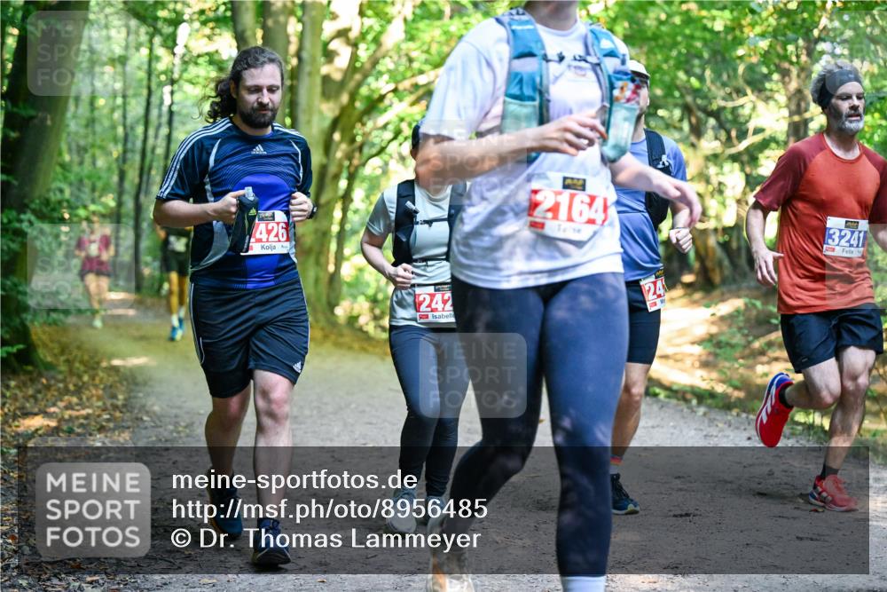 28.09.2025 - 33. Volkslauf durch das schöne Alstertal Dr. Thomas Lammeyer http://msf.ph/oto/8956485 28.09.2025 10:45:05 Laufen 426, 242, 2164, 24, 13241 meine-sportfotos.de
