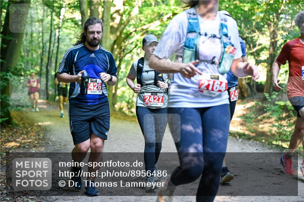 28.09.2025 - 33. Volkslauf durch das schöne Alstertal Dr. Thomas Lammeyer http://msf.ph/oto/8956486 28.09.2025 10:45:05 Laufen 426, 2427, 2164, 24 meine-sportfotos.de