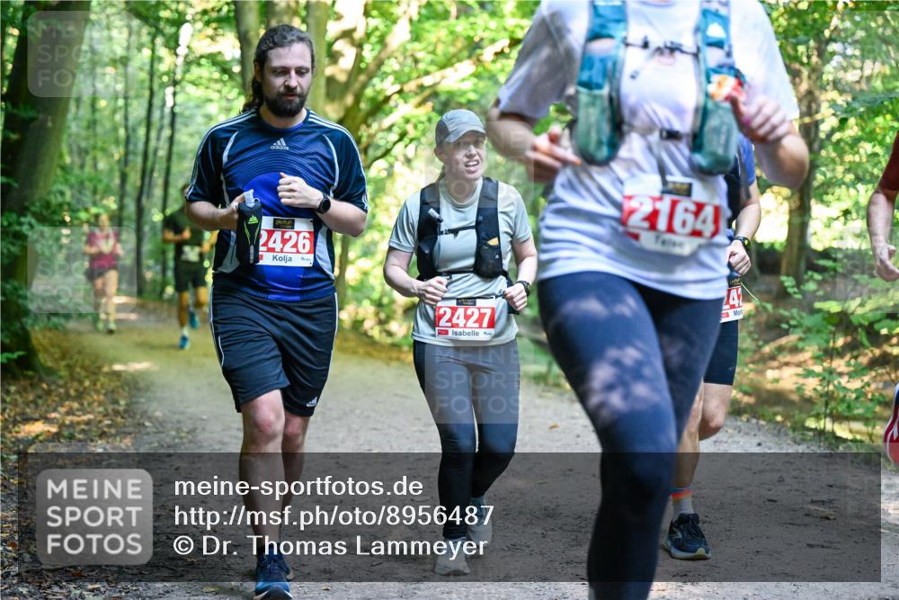 28.09.2025 - 33. Volkslauf durch das schöne Alstertal Dr. Thomas Lammeyer http://msf.ph/oto/8956487 28.09.2025 10:45:05 Laufen 2426, 2427, 2164, 41 meine-sportfotos.de