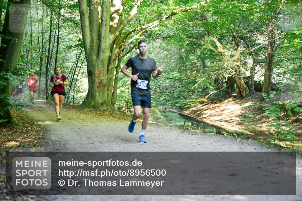 28.09.2025 - 33. Volkslauf durch das schöne Alstertal Dr. Thomas Lammeyer http://msf.ph/oto/8956500 28.09.2025 10:45:08 Laufen  meine-sportfotos.de