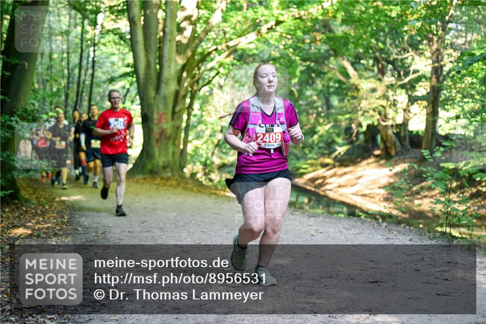 28.09.2025 - 33. Volkslauf durch das schöne Alstertal Dr. Thomas Lammeyer http://msf.ph/oto/8956531 28.09.2025 10:45:13 Laufen 2409 meine-sportfotos.de