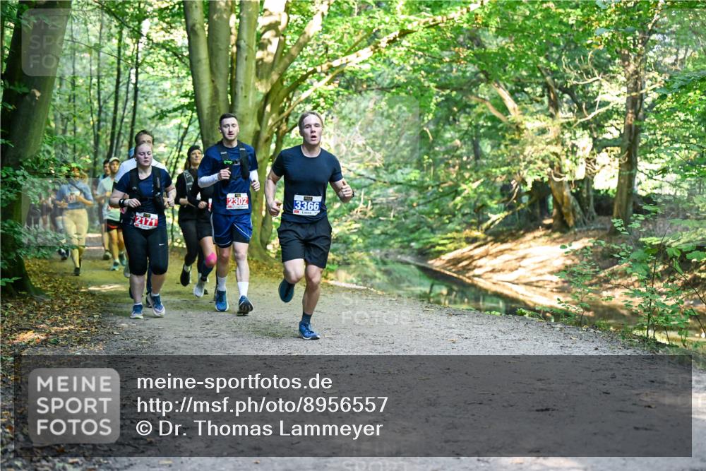 28.09.2025 - 33. Volkslauf durch das schöne Alstertal Dr. Thomas Lammeyer http://msf.ph/oto/8956557 28.09.2025 10:45:17 Laufen 2171, 2302, 3366 meine-sportfotos.de