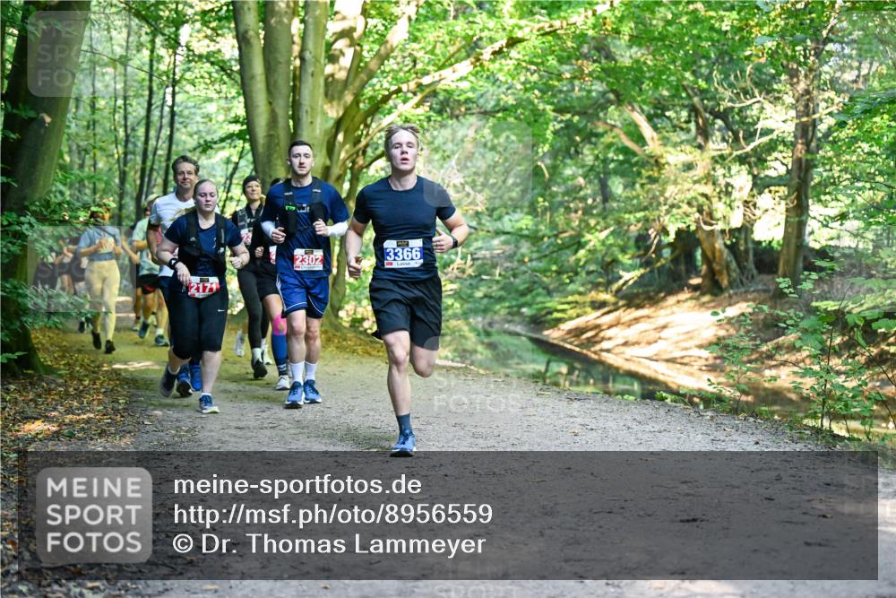 28.09.2025 - 33. Volkslauf durch das schöne Alstertal Dr. Thomas Lammeyer http://msf.ph/oto/8956559 28.09.2025 10:45:17 Laufen 7, 2302, 3366 meine-sportfotos.de