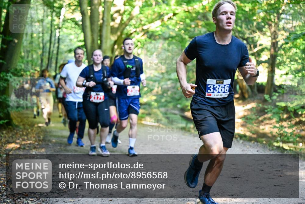 28.09.2025 - 33. Volkslauf durch das schöne Alstertal Dr. Thomas Lammeyer http://msf.ph/oto/8956568 28.09.2025 10:45:18 Laufen 3366 meine-sportfotos.de