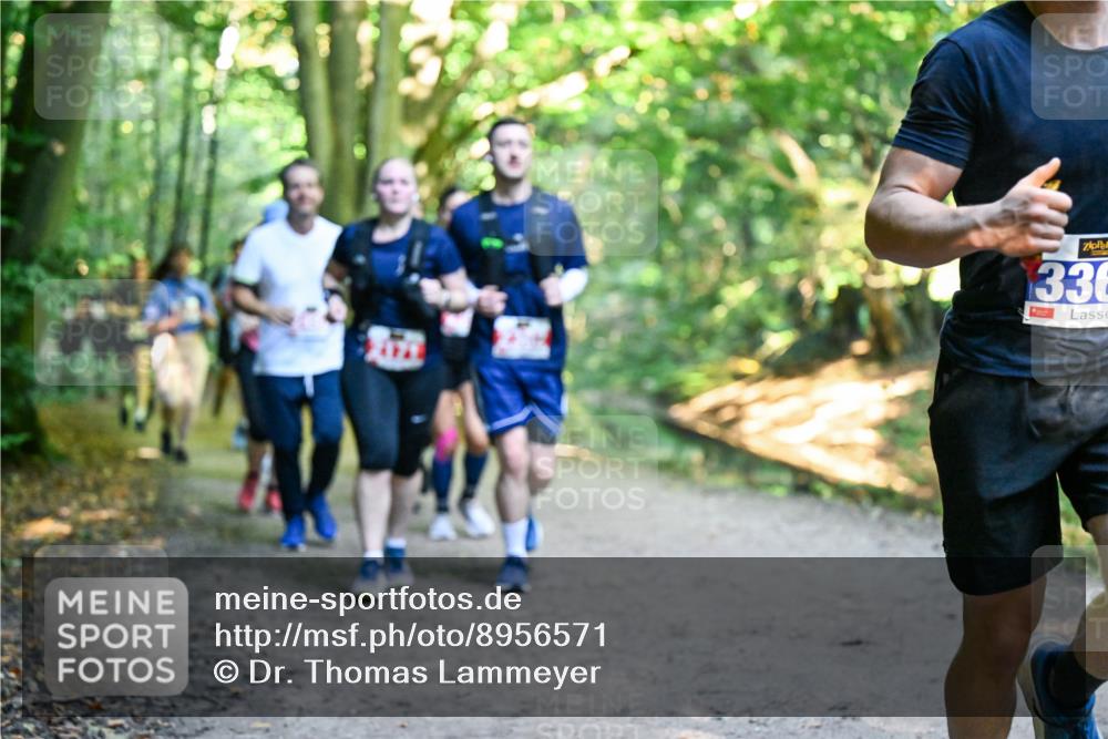28.09.2025 - 33. Volkslauf durch das schöne Alstertal Dr. Thomas Lammeyer http://msf.ph/oto/8956571 28.09.2025 10:45:19 Laufen 336 meine-sportfotos.de