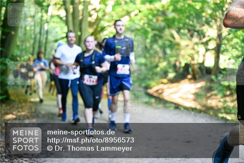 28.09.2025 - 33. Volkslauf durch das schöne Alstertal Dr. Thomas Lammeyer http://msf.ph/oto/8956573 28.09.2025 10:45:19 Laufen  meine-sportfotos.de