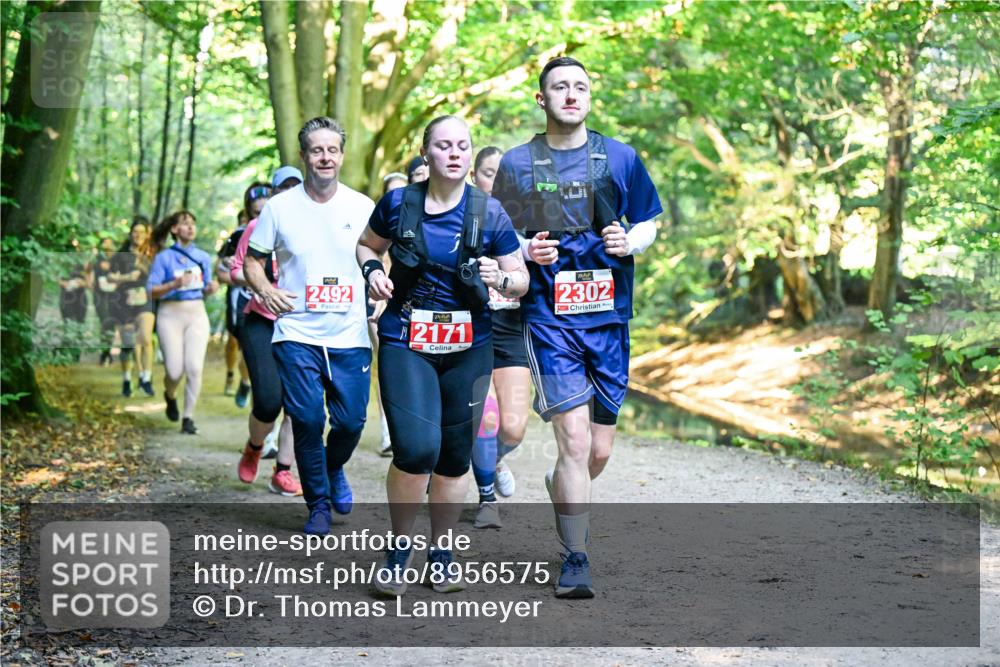 28.09.2025 - 33. Volkslauf durch das schöne Alstertal Dr. Thomas Lammeyer http://msf.ph/oto/8956575 28.09.2025 10:45:19 Laufen 2492, 2171, 2302 meine-sportfotos.de