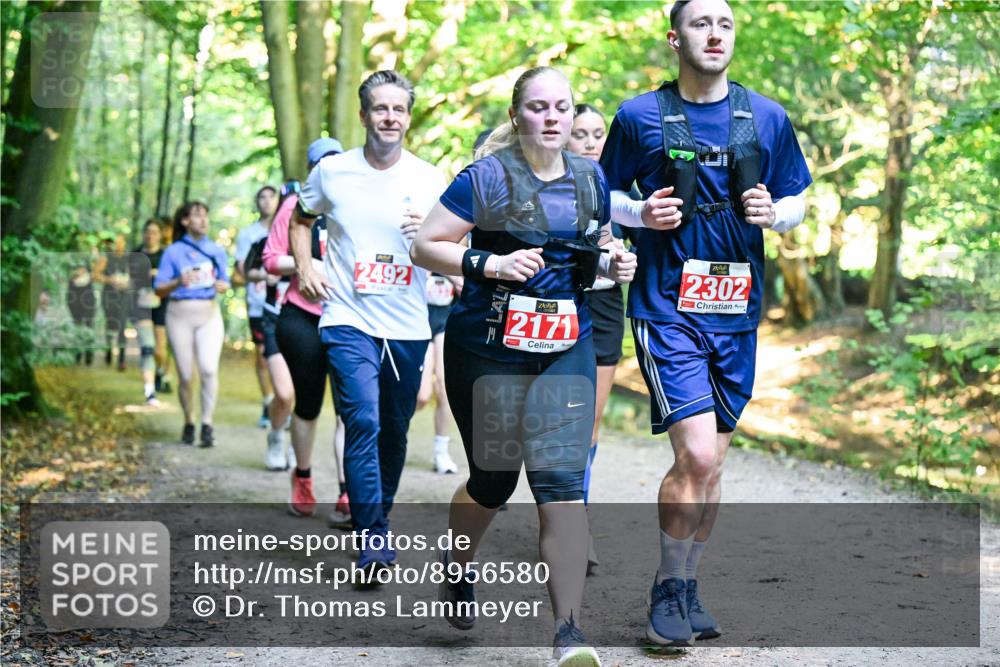 28.09.2025 - 33. Volkslauf durch das schöne Alstertal Dr. Thomas Lammeyer http://msf.ph/oto/8956580 28.09.2025 10:45:20 Laufen 2492, 2171, 2302 meine-sportfotos.de