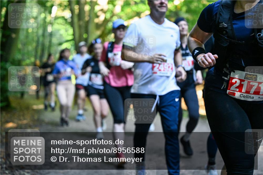 28.09.2025 - 33. Volkslauf durch das schöne Alstertal Dr. Thomas Lammeyer http://msf.ph/oto/8956588 28.09.2025 10:45:21 Laufen 2492, 2171 meine-sportfotos.de