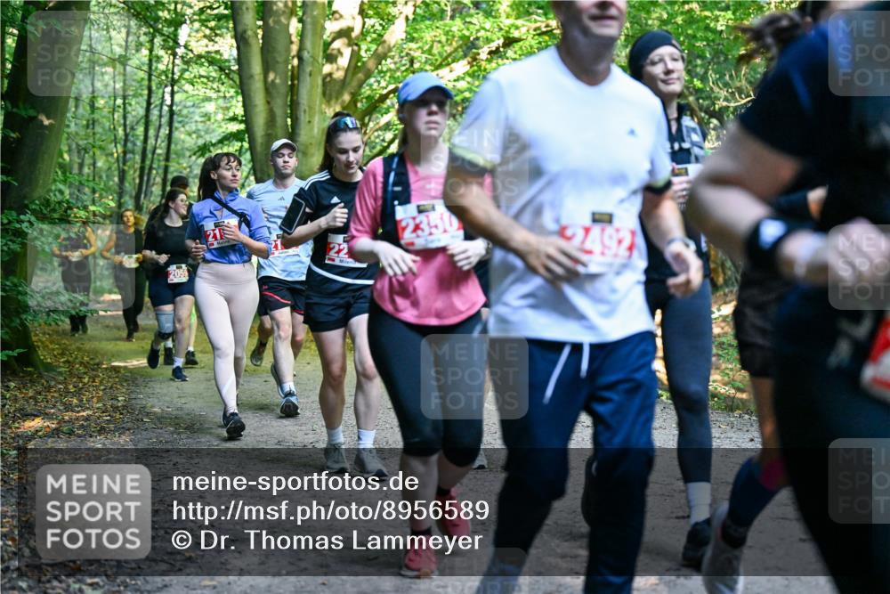 28.09.2025 - 33. Volkslauf durch das schöne Alstertal Dr. Thomas Lammeyer http://msf.ph/oto/8956589 28.09.2025 10:45:21 Laufen 2059, 2, 22, 2492 meine-sportfotos.de