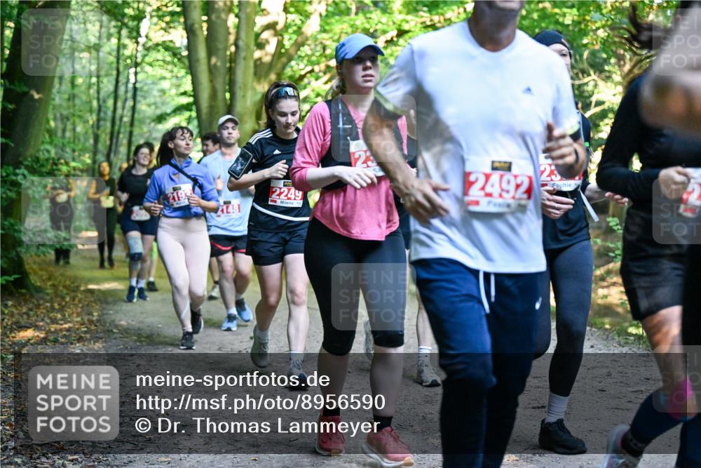 28.09.2025 - 33. Volkslauf durch das schöne Alstertal Dr. Thomas Lammeyer http://msf.ph/oto/8956590 28.09.2025 10:45:21 Laufen 219, 2249, 2492, 23, 21481 meine-sportfotos.de