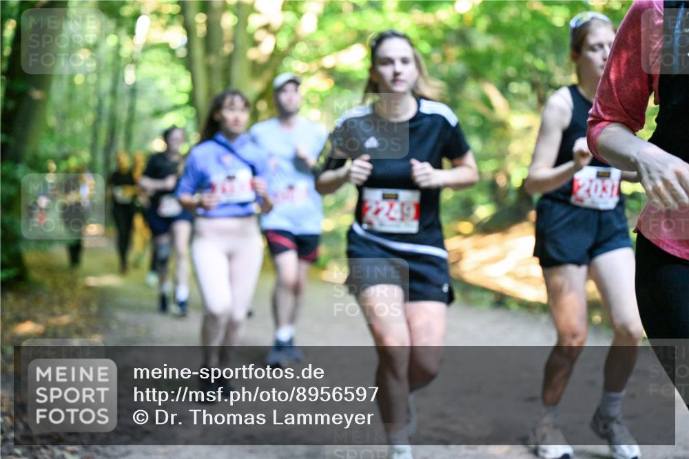 28.09.2025 - 33. Volkslauf durch das schöne Alstertal Dr. Thomas Lammeyer http://msf.ph/oto/8956597 28.09.2025 10:45:23 Laufen 2249 meine-sportfotos.de
