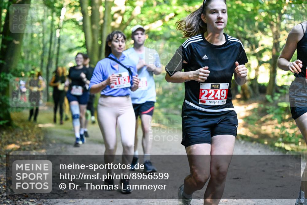 28.09.2025 - 33. Volkslauf durch das schöne Alstertal Dr. Thomas Lammeyer http://msf.ph/oto/8956599 28.09.2025 10:45:23 Laufen 2249 meine-sportfotos.de